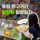 모든문구프라자 | 창신동 문구완구거리 동대문 동묘 완구거리 말랑이 왁뿌볼 피규어 | 주차 영업시간 일요일