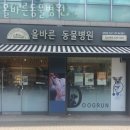 올바른 동물병원 | 강동구 암사동 동물병원 올바른동물병원 진료시간 접근성 이용후기