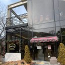 사상 카페추천 커피가맛있는 사상 포레스트뷰 카페 고양이가 있는 우디브룩