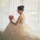 서울 야외 스냅 헬퍼 추천 | 별하그리다 계약 후기 (드레스대여·헤어변형 가능) | 내돈내산