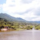 섬진강대나무숲길 이미지