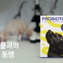 키베이직 - 강남구 도산대로55길 37 | 키베이직