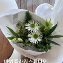 바위플라워스튜디오 이미지