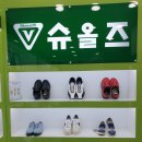 슈올즈 괴정점 이미지