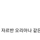 래퍼드스포츠 이미지