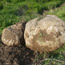 청화농장 이미지