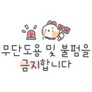 샤인히얼60 이미지