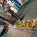 논산온누리약국 이미지