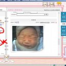 라파엘 이미지
