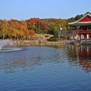 분당중앙공원 이미지