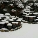 질고개쌈밥 이미지