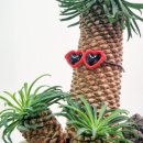 양지-3556 이미지