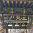돌산종묘수산 Daum카페