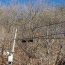 알프스가지산 빙설백설삐요르드 느끼고즐긴산행(2.13)ㅡ자랑스러운화요길 대단한동행님들 감사ㅡ석남터널~중봉~가지산~아랫재~(운문) 이미지