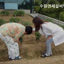 연세실버벨리 이미지