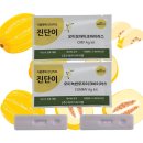 성주참외원예농협 | 참외 농가를 위한 바이러스 예찰과 식물병 진단키트 활용법-CMV,CGMMV-성주참외원예농협 세미나-2026.03.04