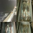 (급번출) 5월 30일/31일 제주본섬 구룡호 갈치낚시 출조 이미지