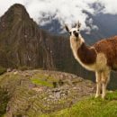 MACHU PICCHU 이미지