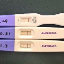 황화약국 | 인공수정 1차 성공 후기 2 임신확인서 임산부뱃지 임신축하선물 임신 초기 주의사항