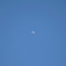 개린이세상 이미지