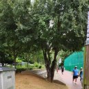 구월체육공원 이미지