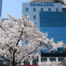 원광대학교 산본병원 이미지