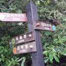 기도원 맞은편 이미지