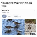 [2월의 기록] 살이 찌는 계절, 겨울