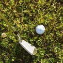 주식회사더골프 이미지