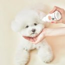 화이트 켄넬 이미지