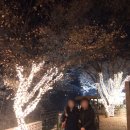 돌고래주유소 이미지