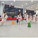아리랑태권도 | 용암동줄넘기 너무 만족스러운 용인대 아리랑 태권도 경험