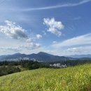 다운목장 이미지