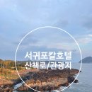 여해로 | 서귀포 칼호텔 산책로 올레길6코스 소정방폭포 정방폭포 거믄여해안 허니문하우스