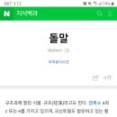 돌말 이미지