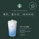 미니쇼촬 | 환상의 섬 제주 여행 ✈️