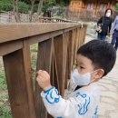넨니