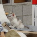 재미나공작소 이미지