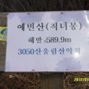 정상표시 이미지