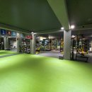 핏그라운드 이미지