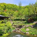 [경기도 광주] 5월 초 화담숲 다녀온 후기
