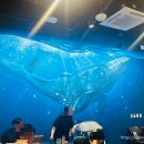 수원-0291 이미지