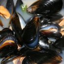 금호횟집 이미지