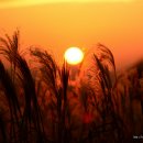 하늘공원 이미지