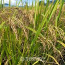 신동축산 이미지