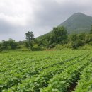 흥이많은농부 이미지