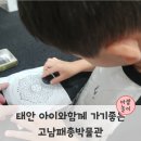 고남패총박물관 | 태안 아이와 함께가기좋은 고남패총박물관