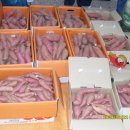 새벽시장 이미지