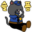 부띠끄풀빌라나미브 이미지