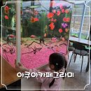 창원 김해 비오는 날 실내 가볼만한곳 아쿠아카페그라미 다녀온후기